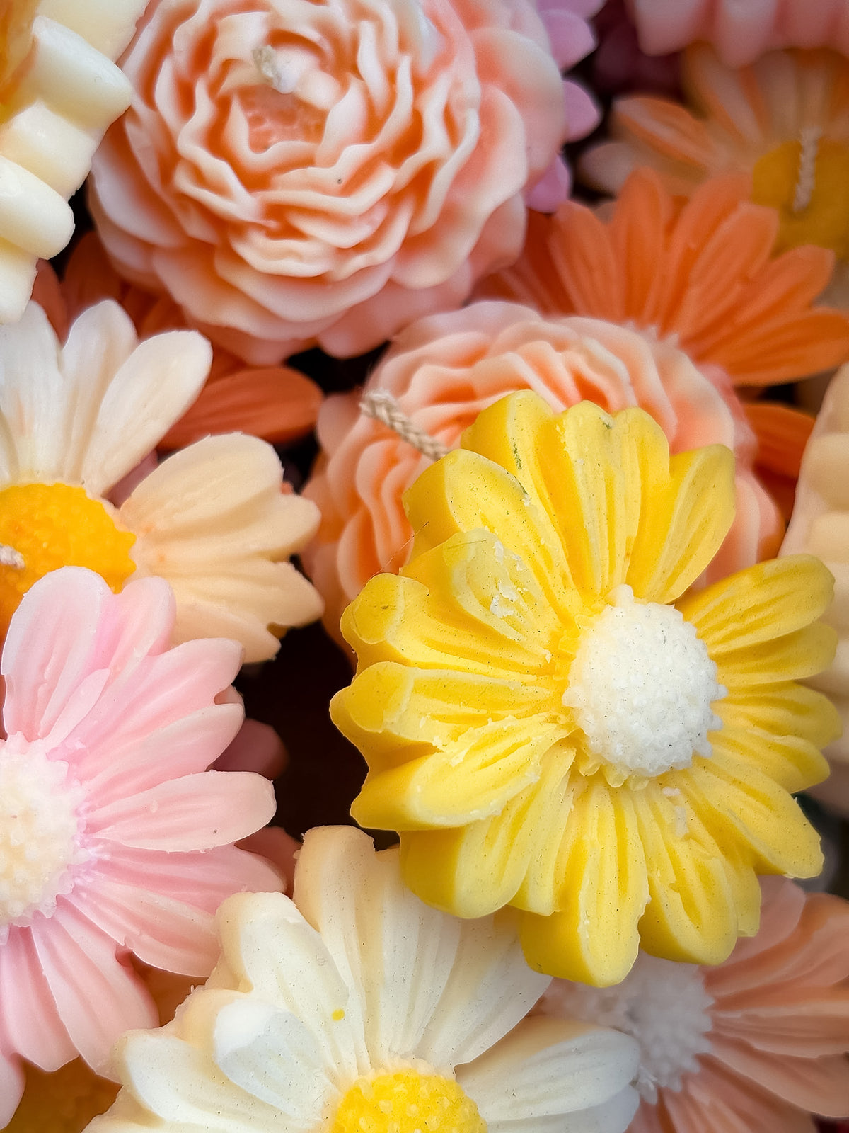 Candele Eternal Daisy a forma di margherita in cera di soia, gialle, rosa, arancioni e bianche